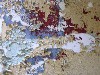 Peeling Paint Abstract Phallic