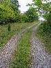 Service Road