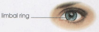 img1.gif