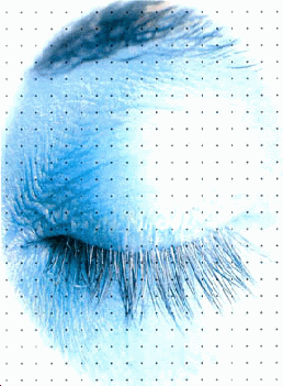 img14.gif