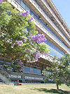 Pabellón 2