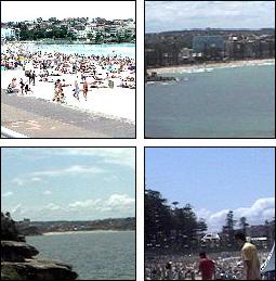 window to manley and bondi beach