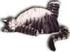 kliban.jpg (2657 bytes)