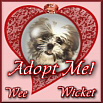 I am homeless. Please adopt me!