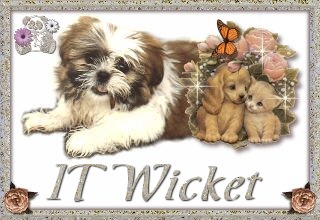 IT Wonderland Wicket