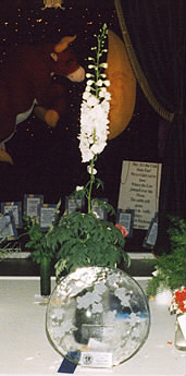 Best in show.jpg (23467 bytes)