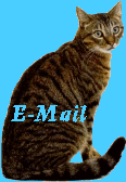 /user/EMAILCAT.gif
