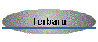 Terbaru