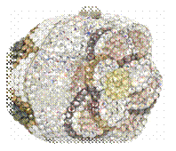 Miniature-Magnolia-Box..png