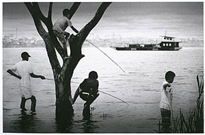 Parana por Paiva