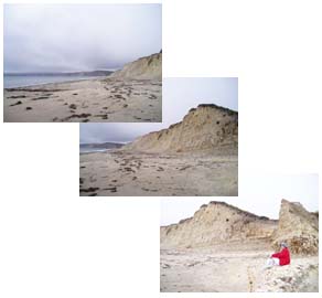 Limantour Beach