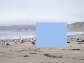 Drake's Beach