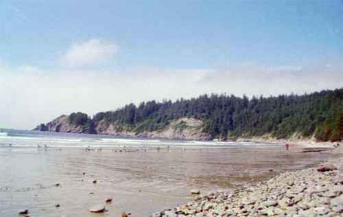 seacoast at Oswald West St Pk