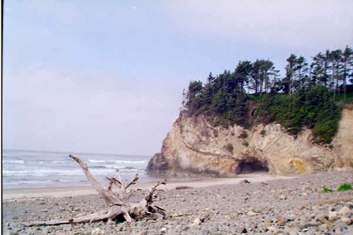 seacoast at Hug Point St Pk