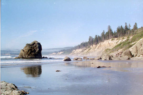 seacoast at Ruby Beach