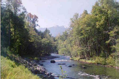 Elwha River