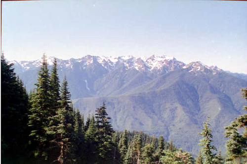 Hurricane Ridge
