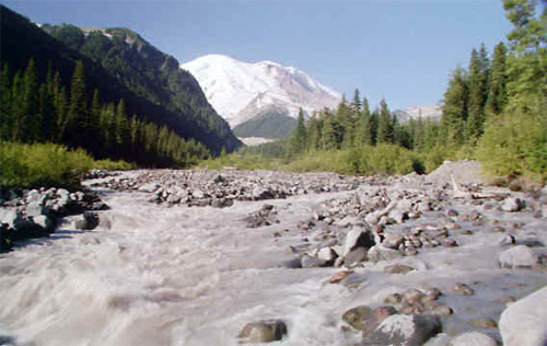 White River, Mt Rainier