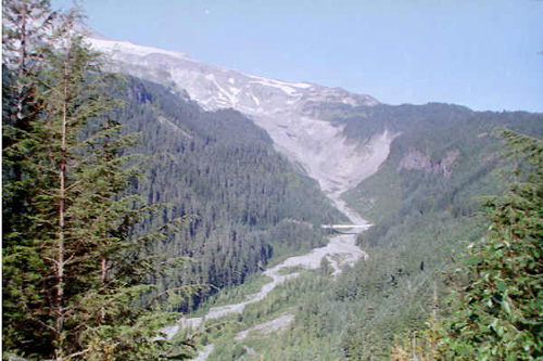 Nisqually River, Mt Rainier
