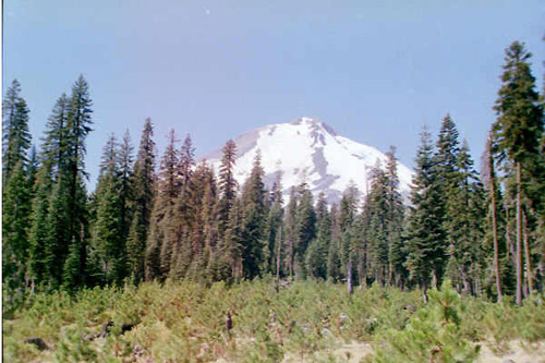 Wintun Glacier and Hotlum Glacier, Mt Shasta