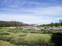Tuolumne Meadows