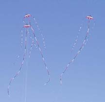 stunt kites