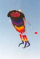 dragonfly kite