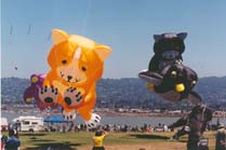 golden teddy bear kite