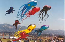 octopi kites