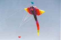 dragonfly kite