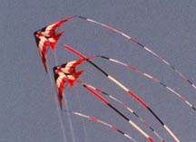 stunt kites