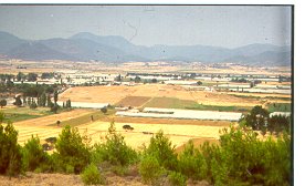 View of Bakla Tepe after the clearance of trees on the mound due to the dam project