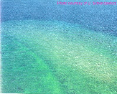 Underwater remains at Liman Tepe