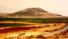 Panaztepe from the northwest