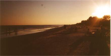 SANIBEL17-2002.jpg (6115 bytes)