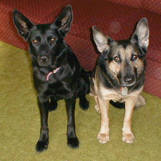 Raven and Iris