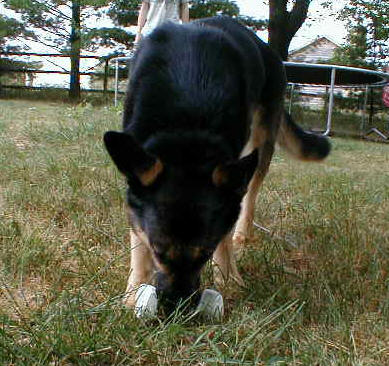 Retrieve On Flat