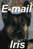 E-mail me