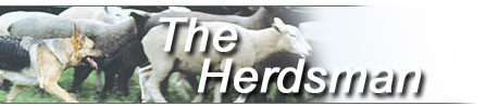 The Herdsman