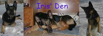 Iris' Den banner