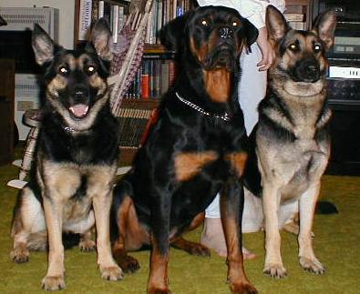 Iris, Carl and Greta