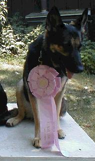 Iris with her ribbon on