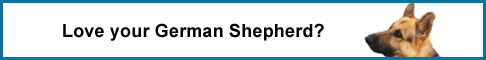 GSD health survey