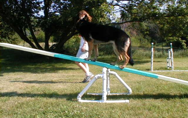 Iris on the Teeter