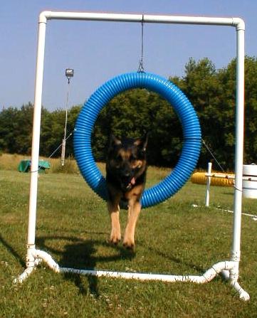 Iris doing the Tire