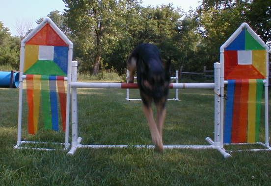 Iris doing the Jump