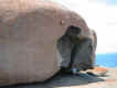 Remarkable Rocks 4.jpg (46545 bytes)