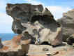 Remarkable Rocks 5.jpg (58079 bytes)