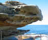 bondi_head.jpg (108441 bytes)