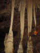 caves 1.jpg (36114 bytes)